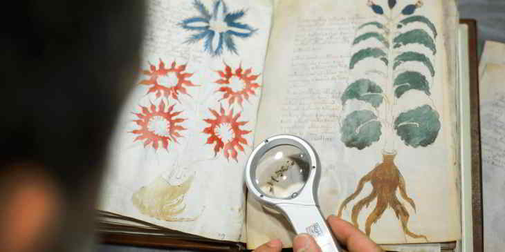 manuscrit Voynich