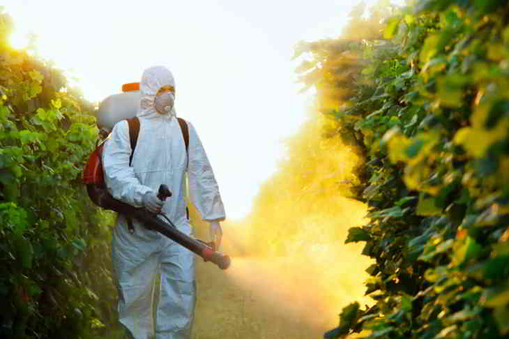 insecticide