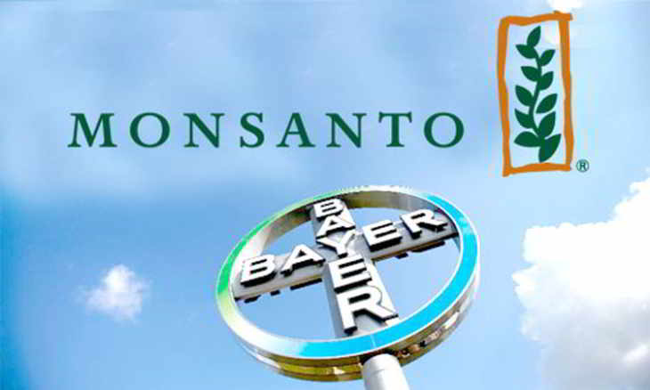 Bayer
