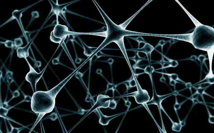 réseaux neuronaux