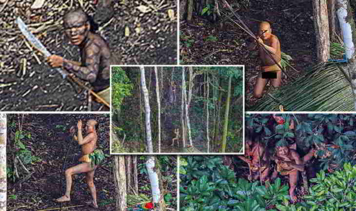 tribu amazonienne