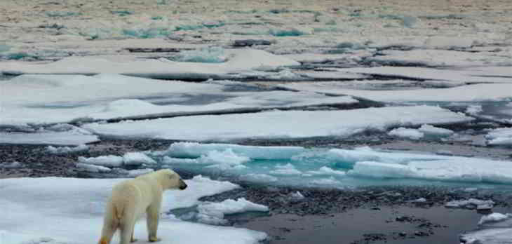 Réchauffement climatique