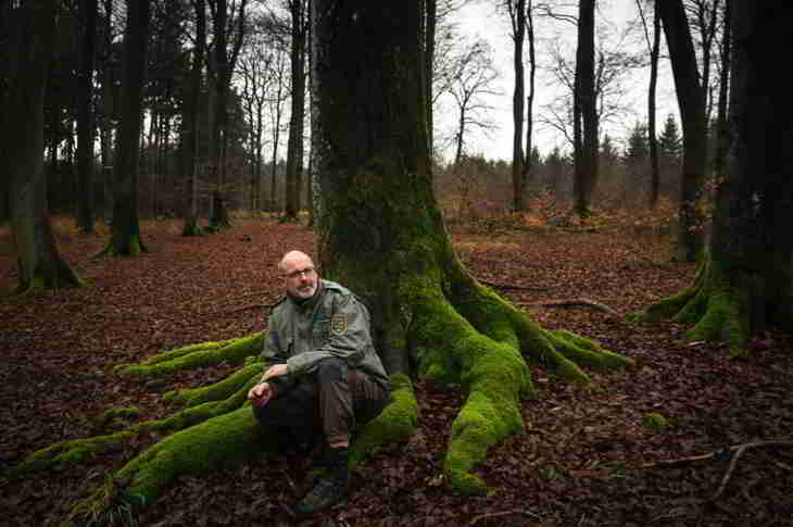 les arbres