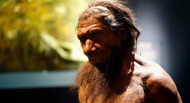 hominidé