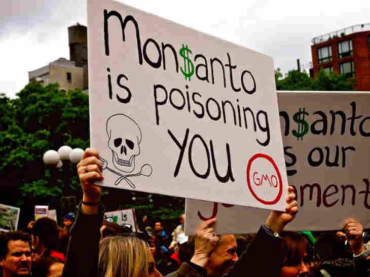 tribunal Monsanto