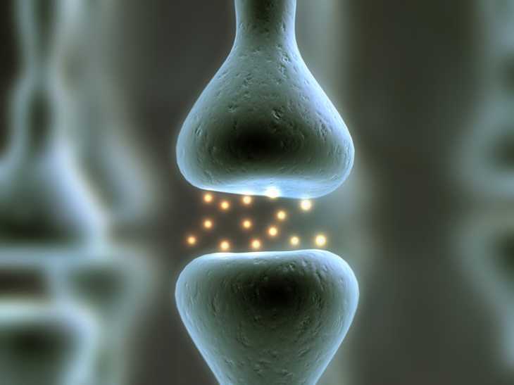 synapse artificielle