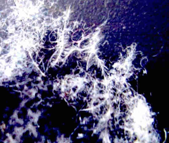fibres métalliques