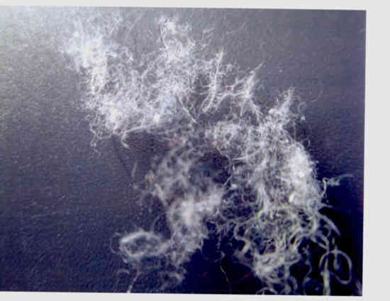 fibres métalliques