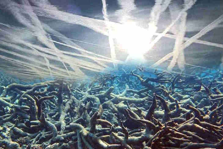 arrêter le changement climatique