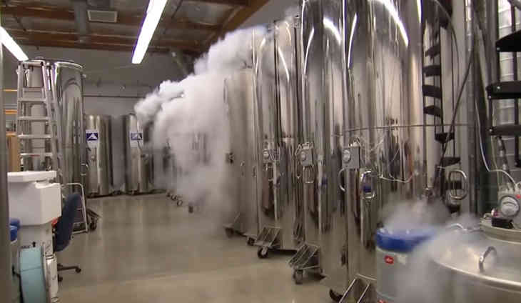 été cryogénisée
