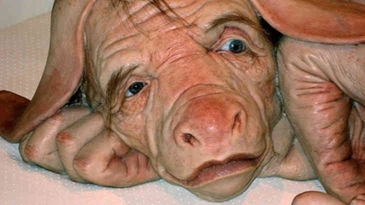 humain-porc