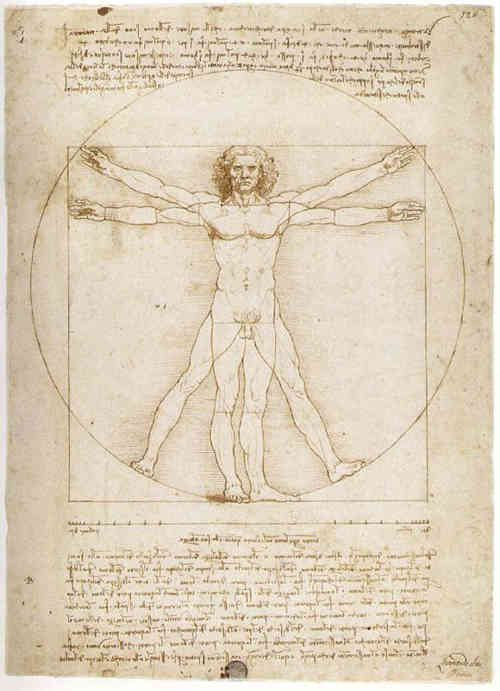 l'Homme de Vitruve