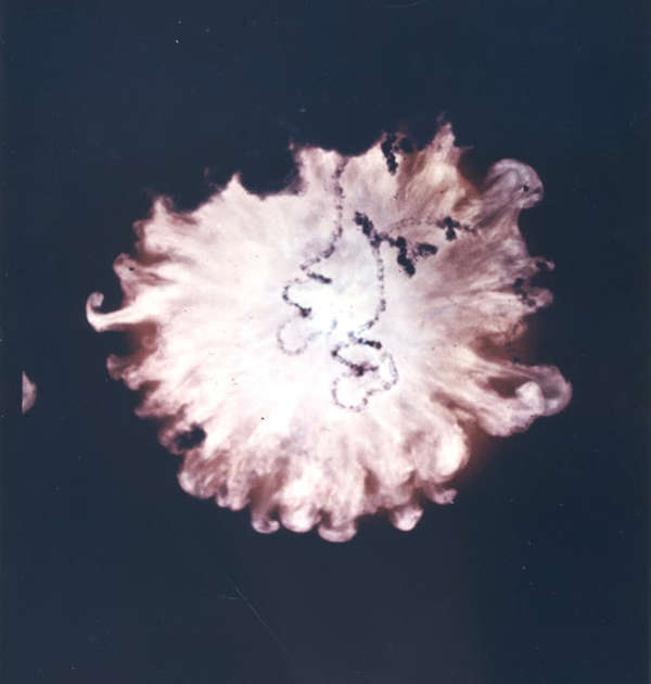 bombes nucléaires