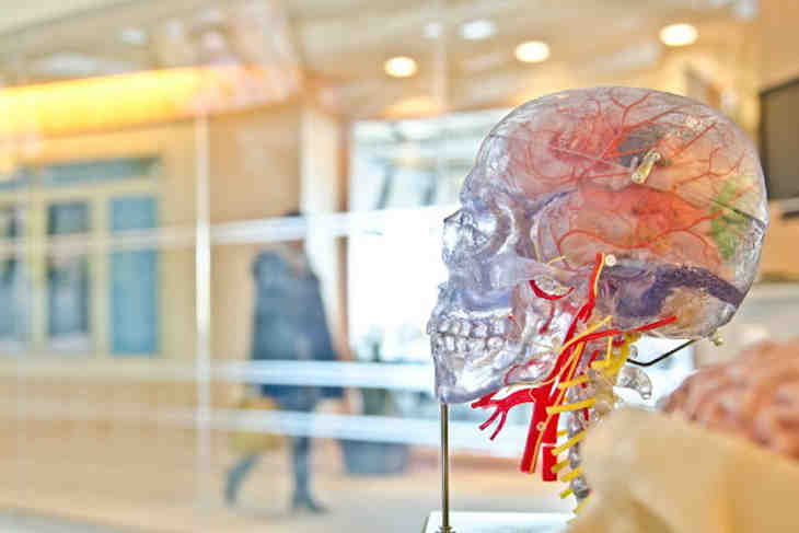 respiration et le cerveau
