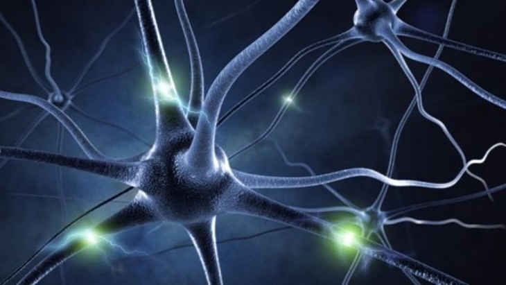10% de notre cerveau