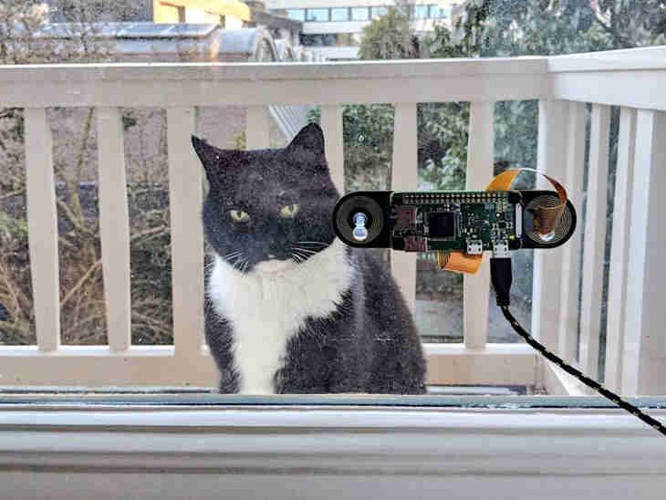 reconnaissance faciale pour son chat