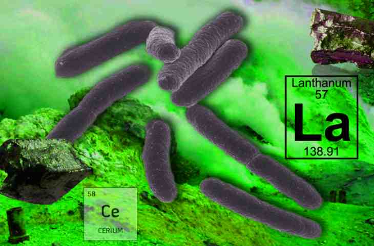 bactéries étranges