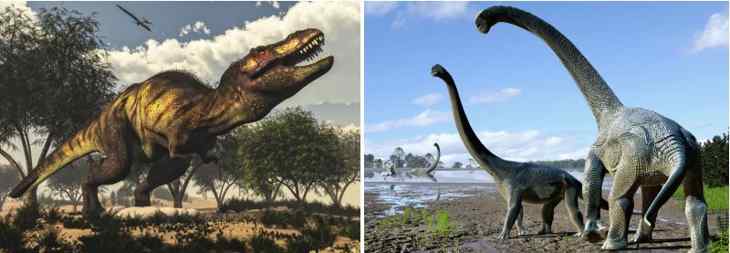 empreintes de dinosaures