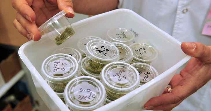 cannabis médicinal