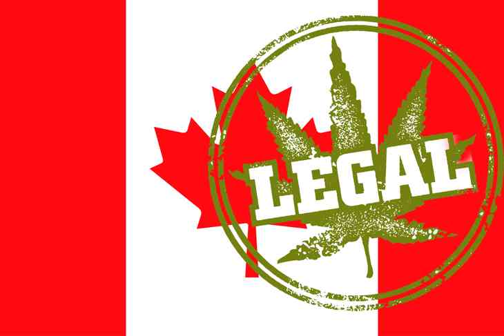 68 études prouvent l’efficacité du cannabis contre le cancer Canada