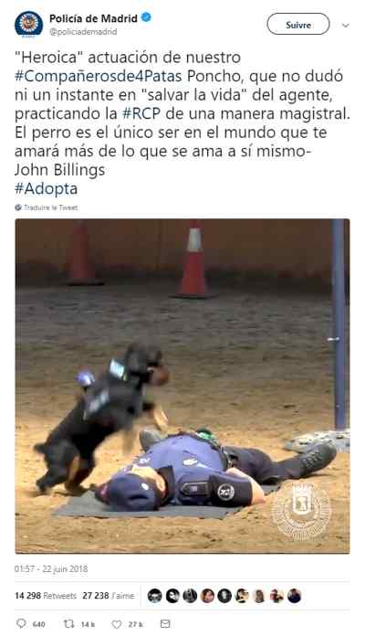 chien policier