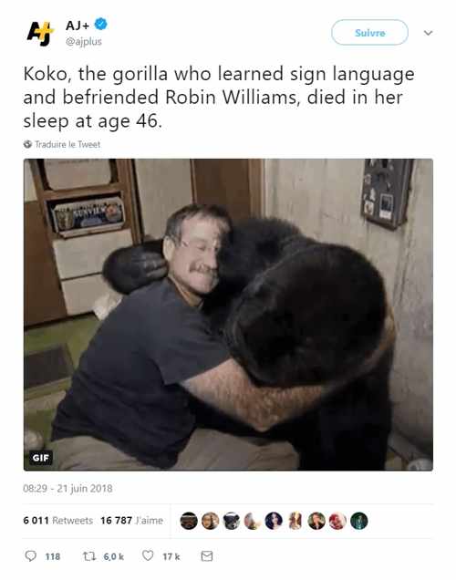 Koko