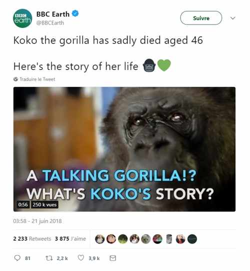 Koko