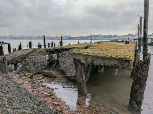 île flippante