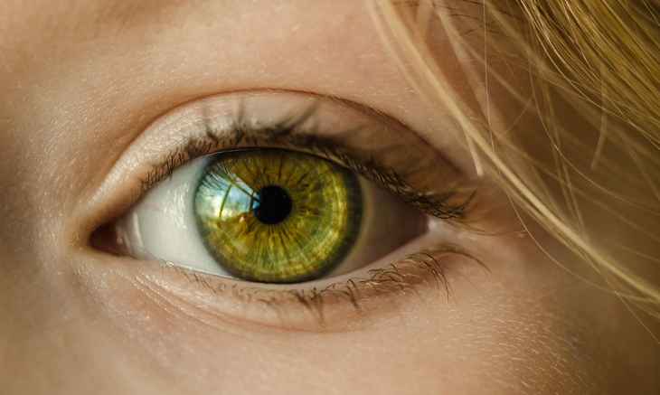 lentille de contact