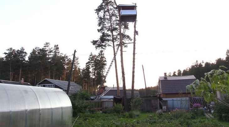 cabane