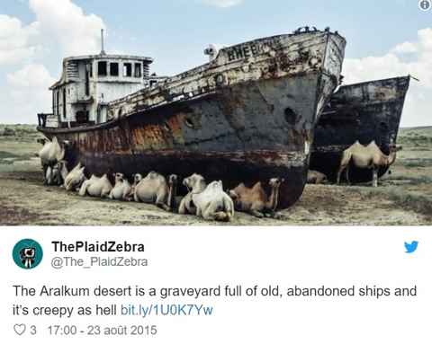 navires abandonnés