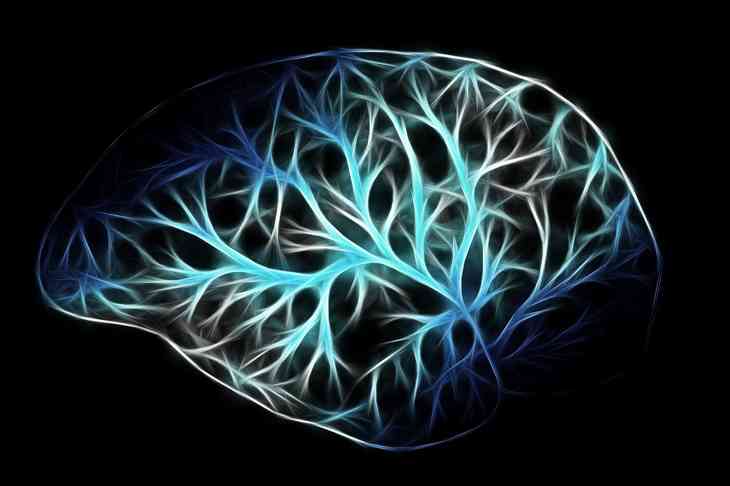 Les scientifiques ont relié le cerveau de trois personnes, ce qui leur a permis de partager leurs idées Cerveaux-connect%C3%A9s