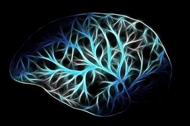 relié le cerveau