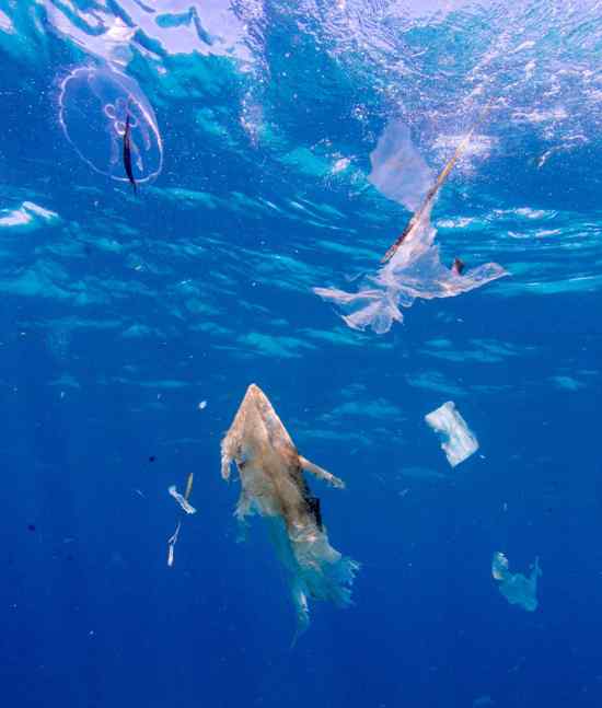 mer de plastique