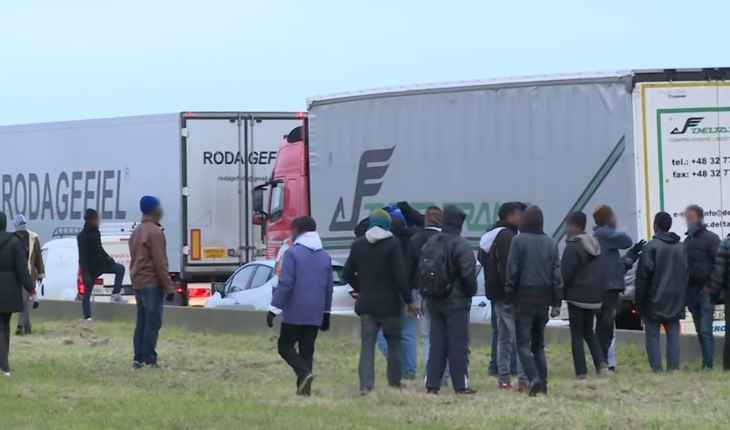 Routiers
