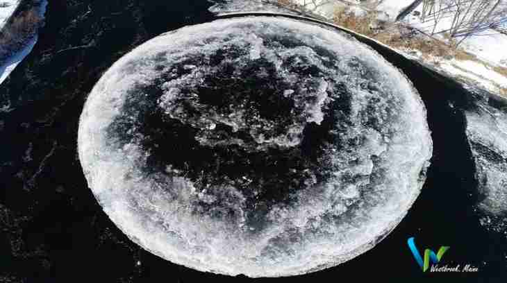 disque de glace