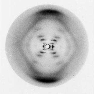 photos scientifiques