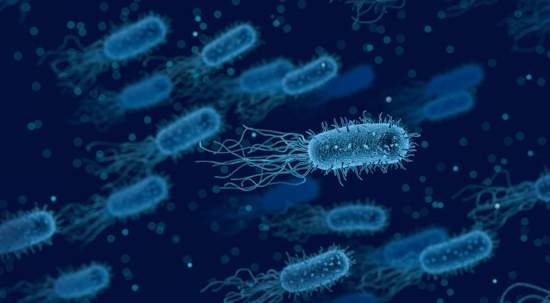 grands changements