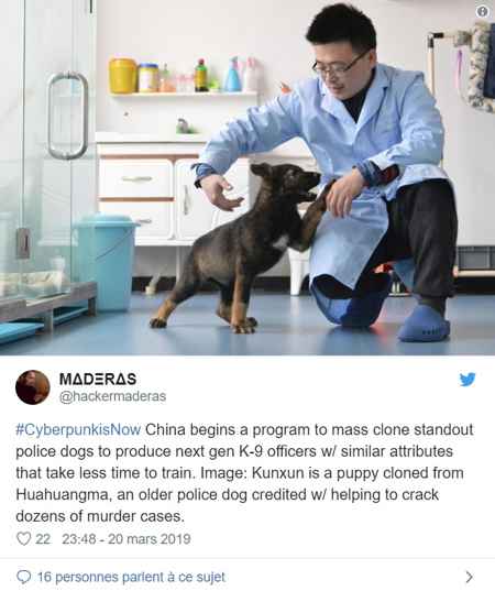 police chinoise