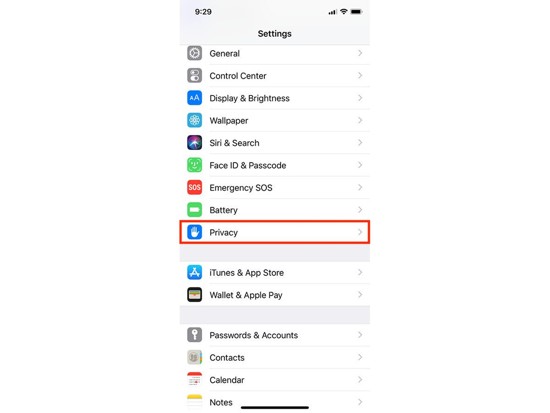 iPhone