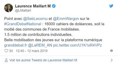 bilan grand débat national