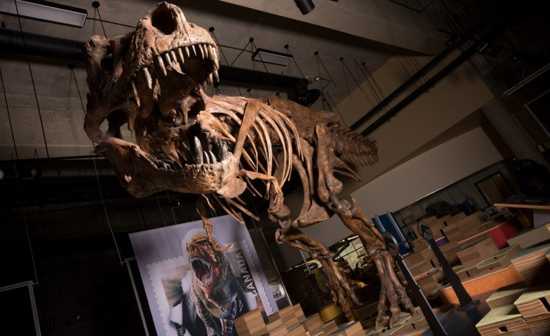 grand T-Rex