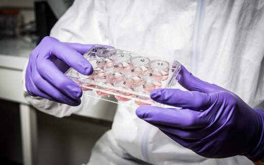 crispr-cancer