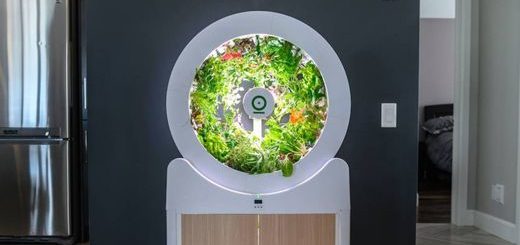 jardin-intérieur-OGarden Smart