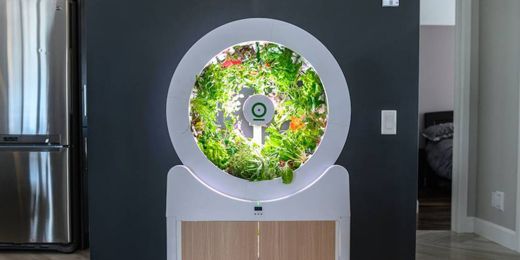 jardin-intérieur-OGarden Smart