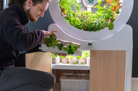 jardin-intérieur-OGarden Smart