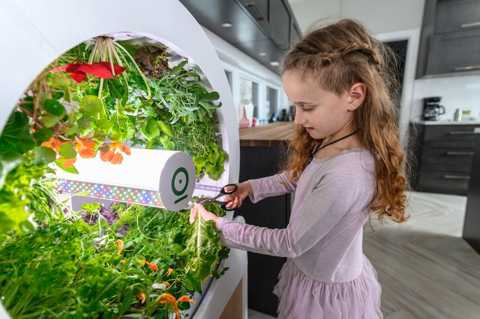 jardin-intérieur-OGarden Smart