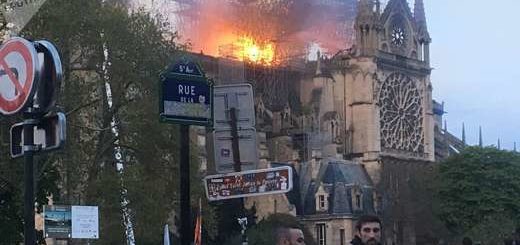 notre-dame-tweet