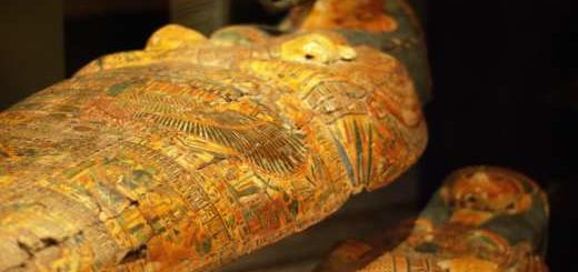sarcophage-direct-télévision
