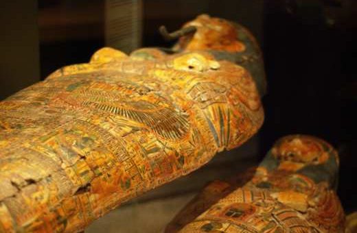 sarcophage-direct-télévision
